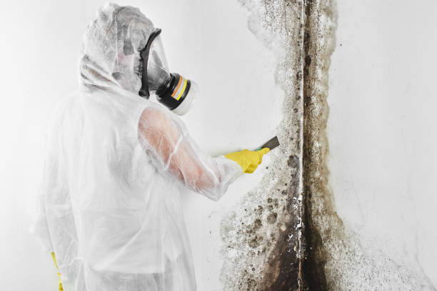 Best Mold Testing  in Bryant, WA