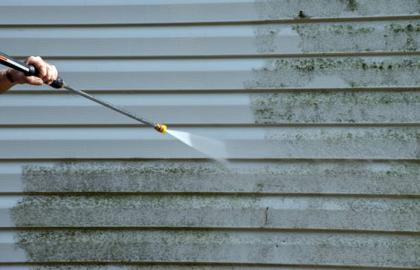 Best Attic Mold Removal  in Bryant, WA