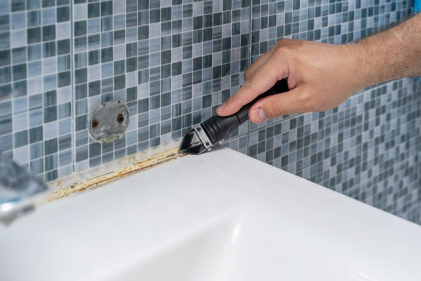 Best Mold Testing  in Bryant, WA